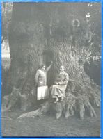 Cadinen, Kreis Elbing Cadinen, Tausendjährige Eiche mit Türeingang III 