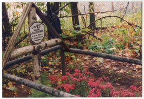 Allenstein, Stadtkreis Allenstein Allenstein, Soldatengrab am Rande des Ehrenfriedhofs Алленштайн, могила солдата на краю мемориального кладбища