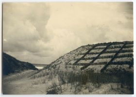 Rossitten Kr. Samland, Kreis Samland Rossitten Kr. Samland, Befestigte Dünen Росситтен, уезд Самбия, закреплённые дюны