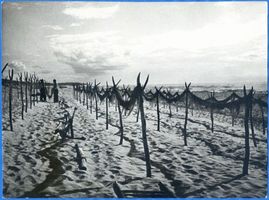  Kurische Nehrung, Netze am Strand bei Rossitten Kurische Nehrung, Fischerei