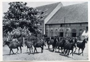 Schwichowshof, Kreis Ebenrode 
