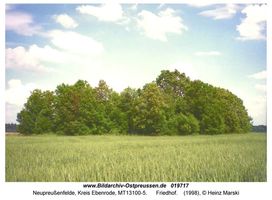 Neupreußenfelde, Kreis Ebenrode 