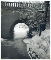 Königsberg (Pr.), Stadtkreis Königsberg Königsberg, Park Luisenwahl VIII Königsberg, Stadtteil Mittelhufen