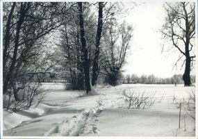 Lötzen, Stadt, Kreis Lötzen Lötzen, Winterlandschaft 