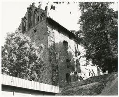 Soldau, Kreis Neidenburg Soldau, Schlossruine VI Зольдау, руины замка, VI