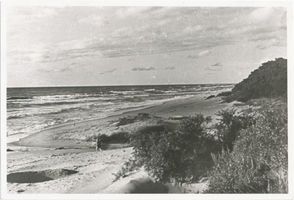 Palmnicken, Kreis Samland Palmnicken, Bernsteinküste bei Palmnicken 