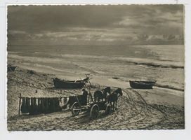  Kurische Nehrung, Am Ostseestrand 