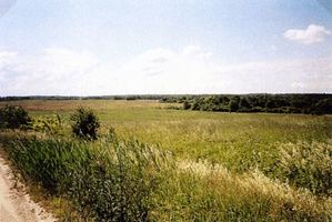 Patranken, Kreis Heiligenbeil Patranken (Красноармейское, Октябрьское), Gebiet zwischen Patranken und Wargitten 