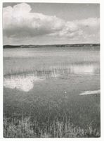  Spirdingsee, Blick über den See Masurische Seen