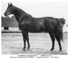 Rastenburg, Stadt, Kreis Rastenburg Sembeckstraße