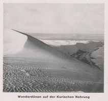  Kurische Nehrung, Wanderdünen Kurische Nehrung, Dünen