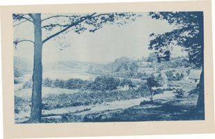 Rauschen Kr. Samland, Kreis Samland Rauschen Kr. Samland, Blick auf Rauschen vom Abschiedsplatze 