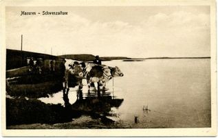   Angerburg, Schwenzaitsee und Mauersee