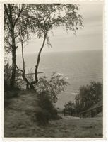 Rauschen Kr. Samland, Kreis Samland Rauschen, Blick auf den Ostseestrand IV Rauschen, Strand