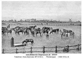 Trakehnen, Kreis Ebenrode  
