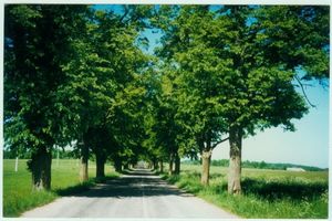 Schönlinde Kr. Gerdauen, Kreis Gerdauen 