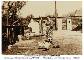 Kuckerneese, Ort, Kreis Elchniederung Ulrichstraße