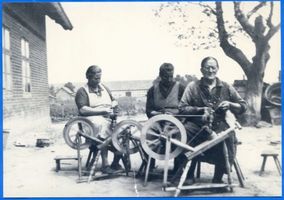 Schönau Kr. Preußisch Holland, Kreis Preußisch Holland Schönau Kr. Preußisch Holland, Frauen beim Spinnen 