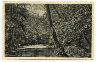  Rominter Heide, Partie an der Rominte III 