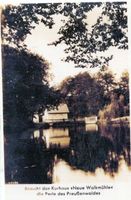 Riesenburg, Kreis Rosenberg Riesenburg, Neue Walkmühle II 