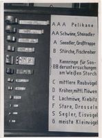 Rossitten Kr. Samland, Kreis Samland Rossitten Kr. Samland, Rossitten Kr. Samland, Vogelwarte, Fußringe für Vögel Rossitten Kr. Samland, Vogelwarte