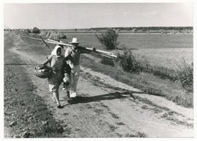  Großes Moosbruch, Heimkehr nach der Heumahd 