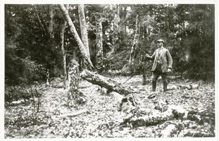  Kreis Schloßberg,  Schirwindter Plinis  (Moorgebiet) 