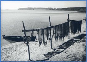  Frisches Haff, Trocknende Netze am Fischhausener Wiek 