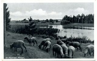 Hegewald Kr. Angerburg, Kreis Angerburg 