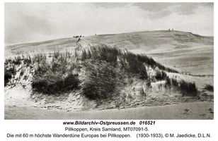 Pillkoppen, Kreis Samland  Kurische Nehrung, Dünen