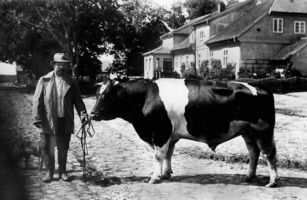 Groß Scharlack, Kreis Labiau 