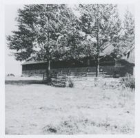 Peterswalde Kr. Heilsberg, Kreis Heilsberg Peterswalde Kr. Heilsberg, Viehstall von Bruno Schwarz 