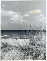 Loppöhnen, Kreis Samland Loppöhnen, Strand II Лоппёнен, пляж, II