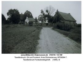 Tawellenbruch, Ort und Forstamt, Kreis Elchniederung 