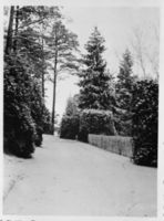 Tilsit, Stadt, Stadtkreis Tilsit 