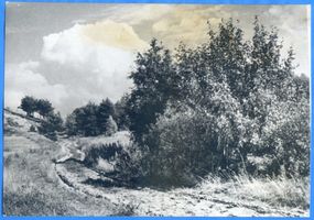Rosenberg Kr. Heiligenbeil, Kreis Heiligenbeil Rosenberg Kr. Heiligenbeil, Feldweg bei Rosenberg 