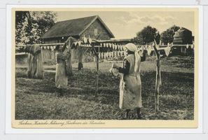 Sarkau, Kreis Samland 