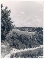  Samlandküste, Höhenpfad zum Wachtbudenberg und Blick auf Groß-Kuhren Самбийское побережье, нагорная тропа к Вахтбуденбергу и вид на Гросс-Курен