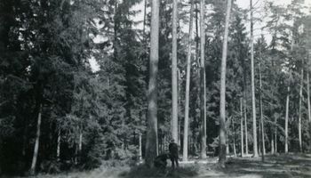 Johannisburg, Kreis Johannisburg 