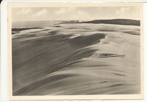 Kurische Nehrung, Wanderdünen bei Pillkoppen, II Kurische Nehrung, Dünen