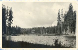  Rominter Heide, Karpfenteich II 
