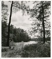  Masuren, Kleiner Gusziensee I Мазурия, Малое Гузянское озеро, I