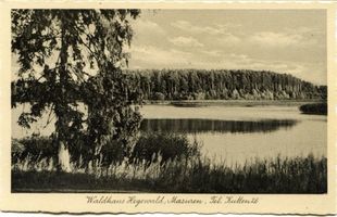Hegewald Kr. Angerburg, Kreis Angerburg Hegewald Kr. Angerburg, Hegewald - Blick zum See III Хегевальд, р-н Ангербург, Хегевальд — вид на озеро, III