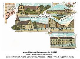 Tapiau, Kreis Wehlau 