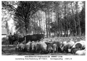 Leunenburg, Kreis Rastenburg  