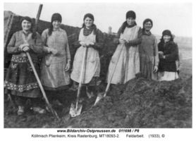 Köllmisch Plienkeim, Kreis Rastenburg 