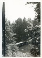 Allenstein, Stadtkreis Allenstein Allenstein - Olsztyn, Stadtwald - Teufelsbrücke II Allenstein, Stadtwald