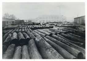 Königsberg (Pr.), Stadtkreis Königsberg Königsberg (Pr.), Baumstämme am Sägewerk?? Кёнигсберг (Пр.), бревна у лесопилки??