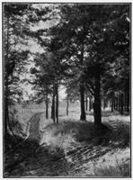 Tilsit, Stadt, Stadtkreis Tilsit 