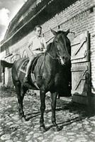 Stangau, Kreis Samland 